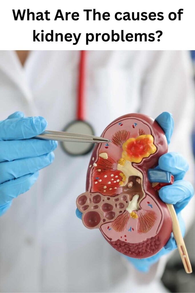 What Is The Reason For Kidney Failure - Parts Of Kidney